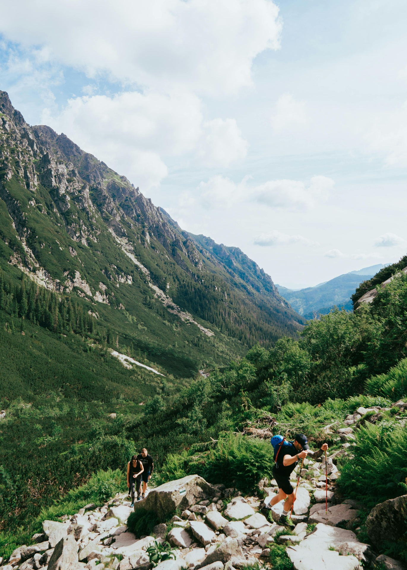 Hikers on a mountain trail
